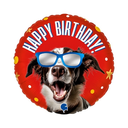 Picture of Foil Balloon Happy Birthday Cool Dog, 45 cm